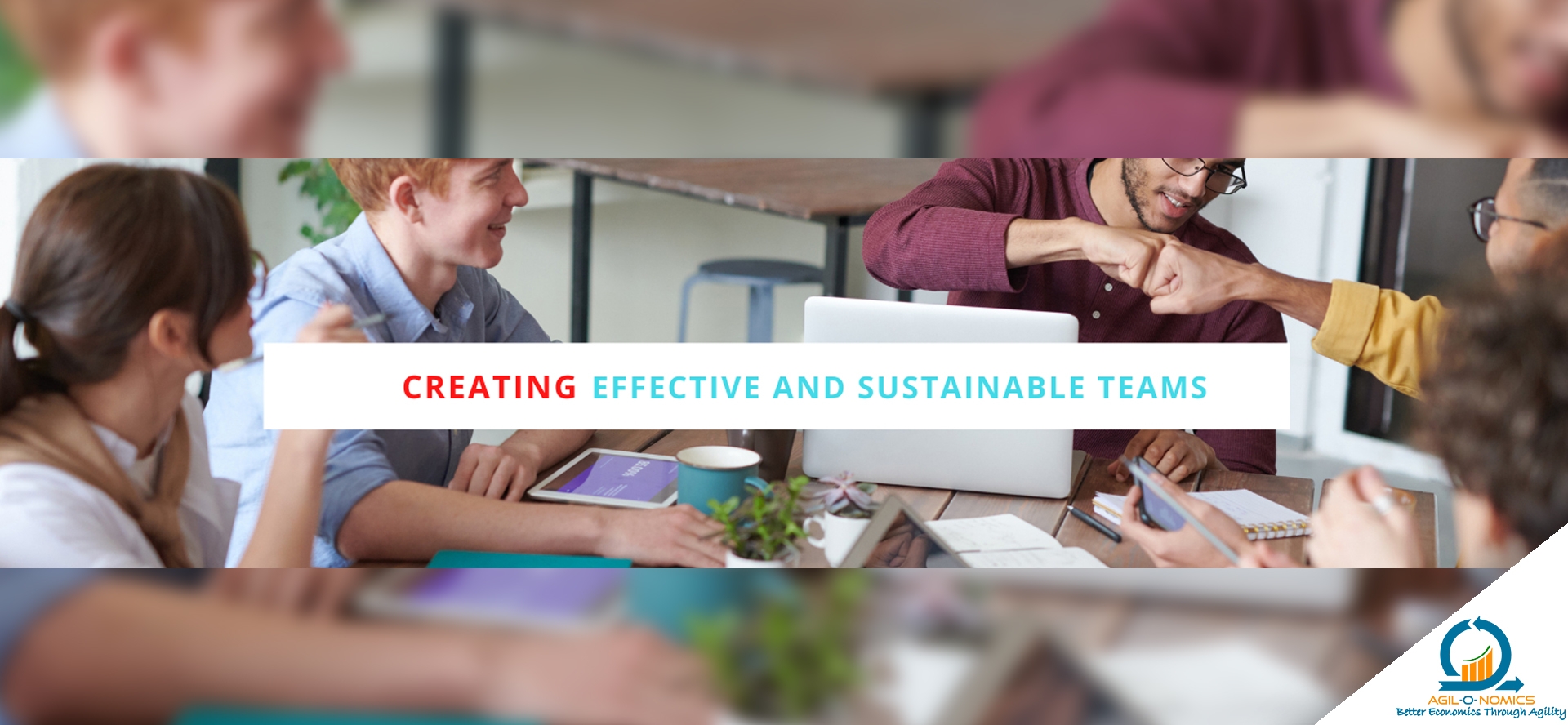 Creating Effective and Sustainable Teams